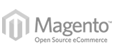 web design Magento